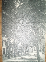 Middelharnis, Voorstraat, plm. 1915